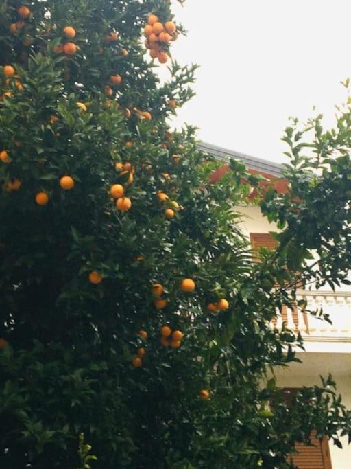 Hébergement de vacances Charmante Maison De Dans Quartier Historique